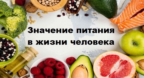 Материалы посвященные здоровому питанию.